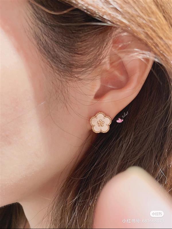 202426145920169 4550